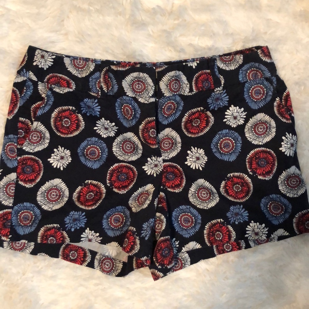 The Loft Outlet size 4 shorts